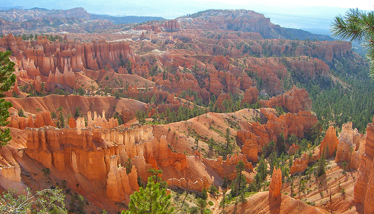 Wzbq-zion-bryce-walking-6